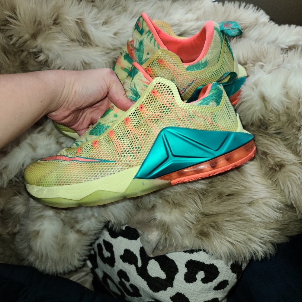 Nike Lebronald Palmer 12 Low